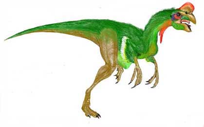 oviraptor.jpg (17042 bytes)